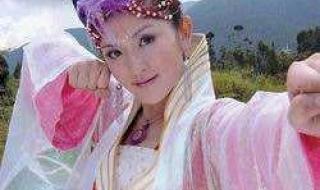 喜气洋洋猪八戒插曲