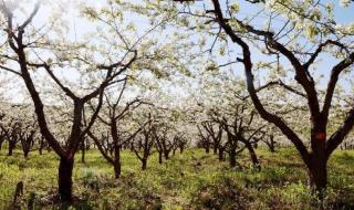 生活万花筒300字作文