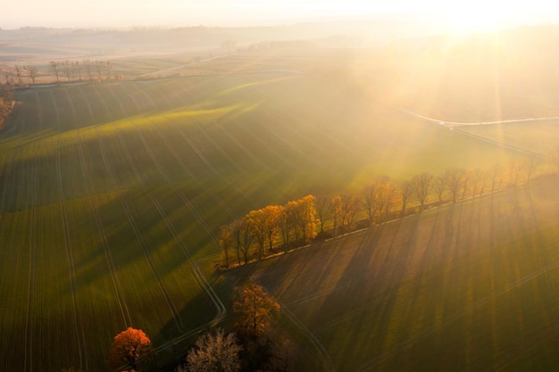 向太打破谣言_李连杰并未去世 向太辟谣李连杰去世